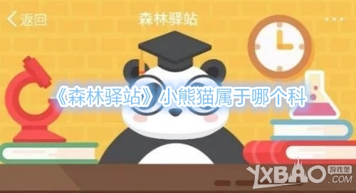 《森林驿站》小熊猫属于哪个科