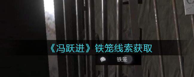 《孙美琪疑案：冯跃进》三级线索——铁笼