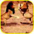 非洲狮模拟器游戏安卓版 v2.0