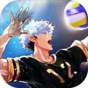 The Spike Volleyball Story