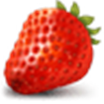 草莓文件加密器  v2.0 免费版